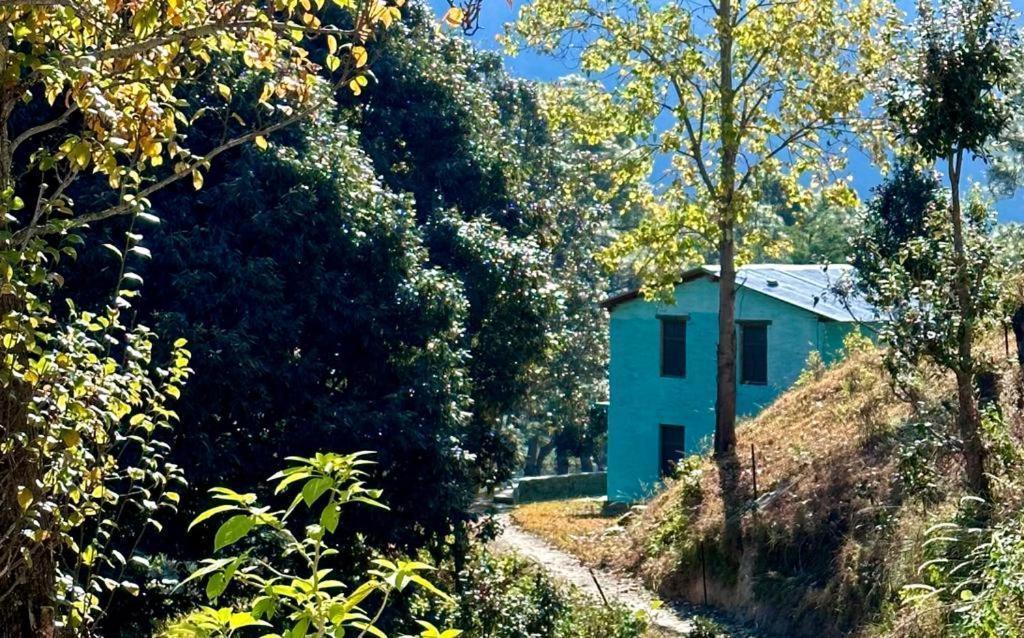 Joshi Cottage Бинсар Экстерьер фото
